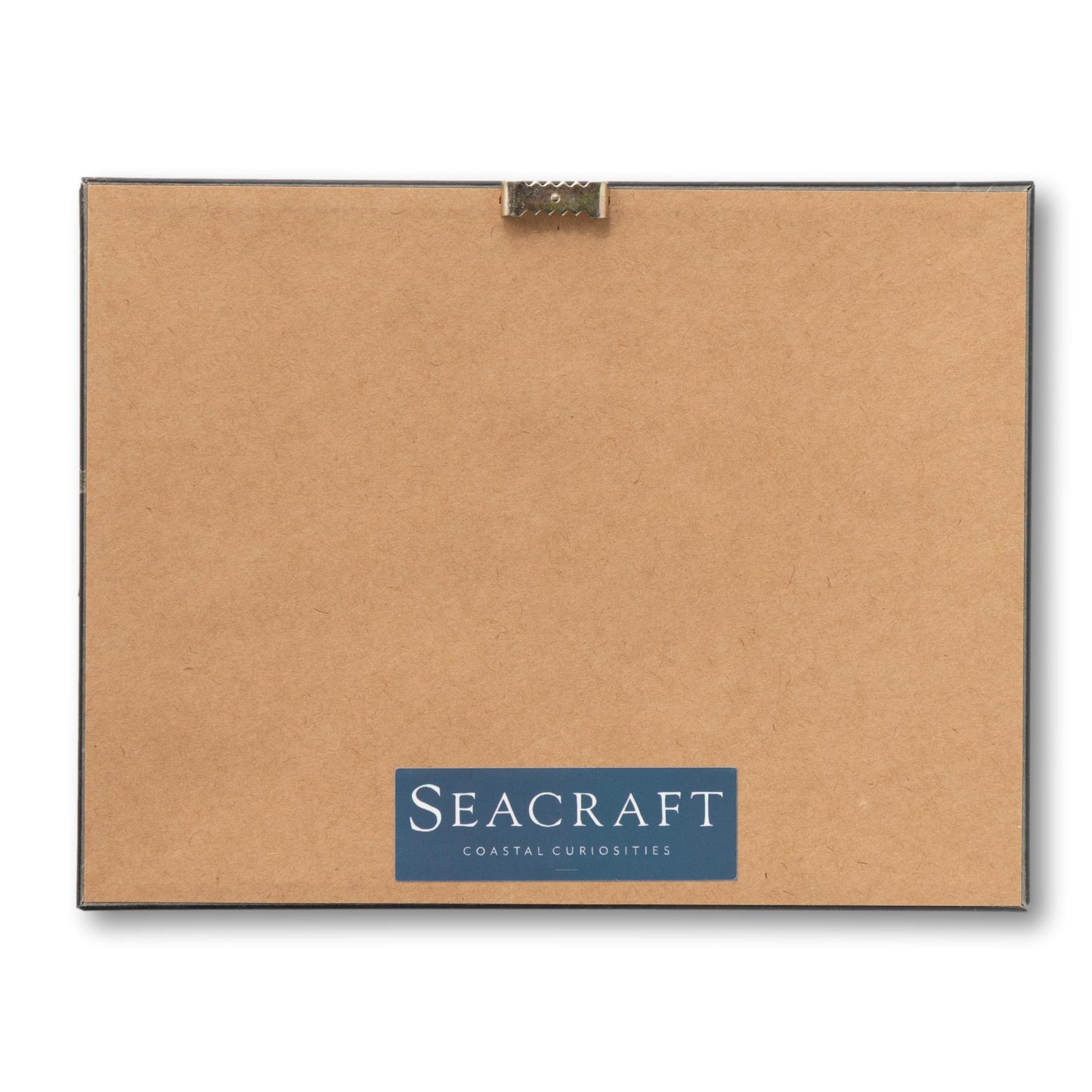 B&W Yacht Club Fleet