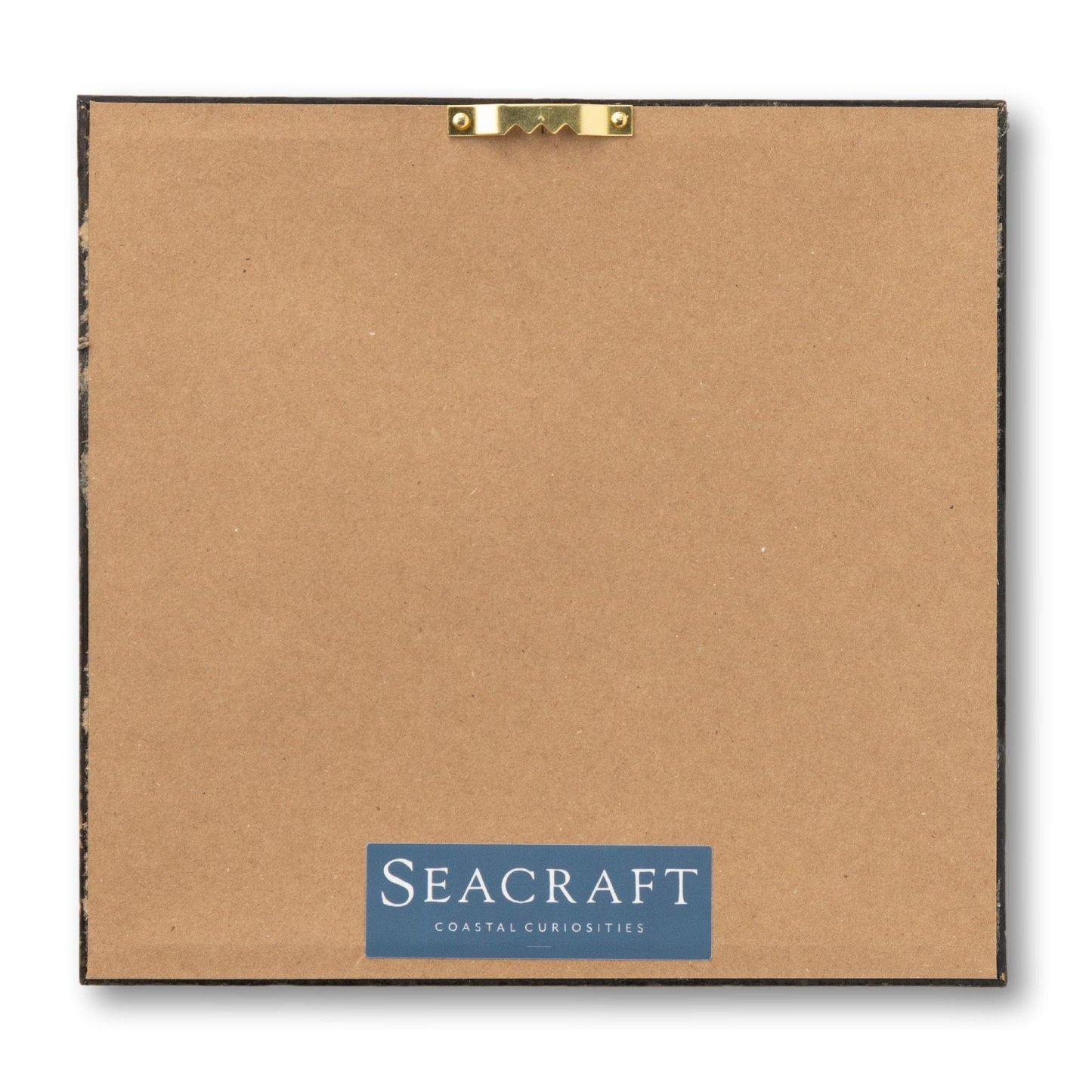 Montauk Point Print