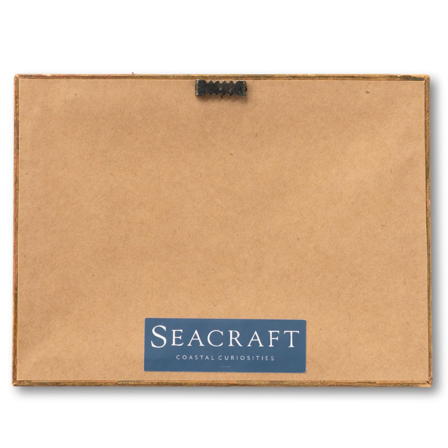 Framed Seagull Postcard