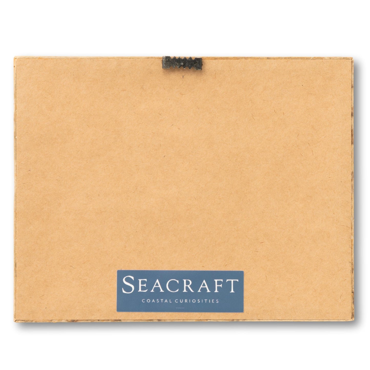 Framed Seagull Postcard