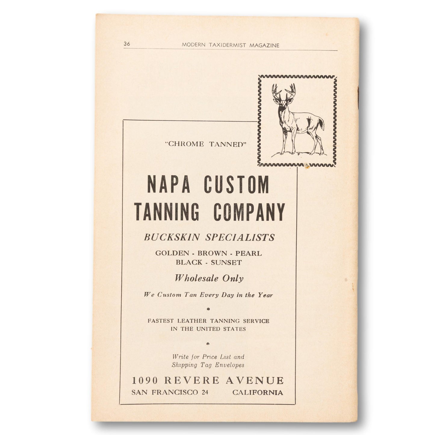"Modern Taxidermist" Booklet