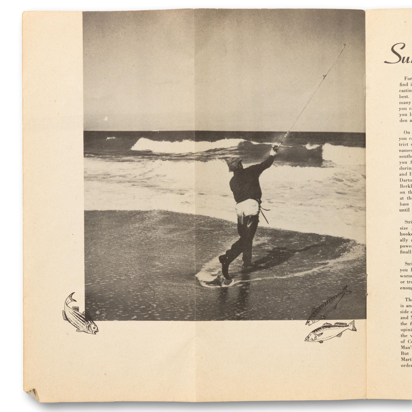 Sports Fishing Foldout Guide