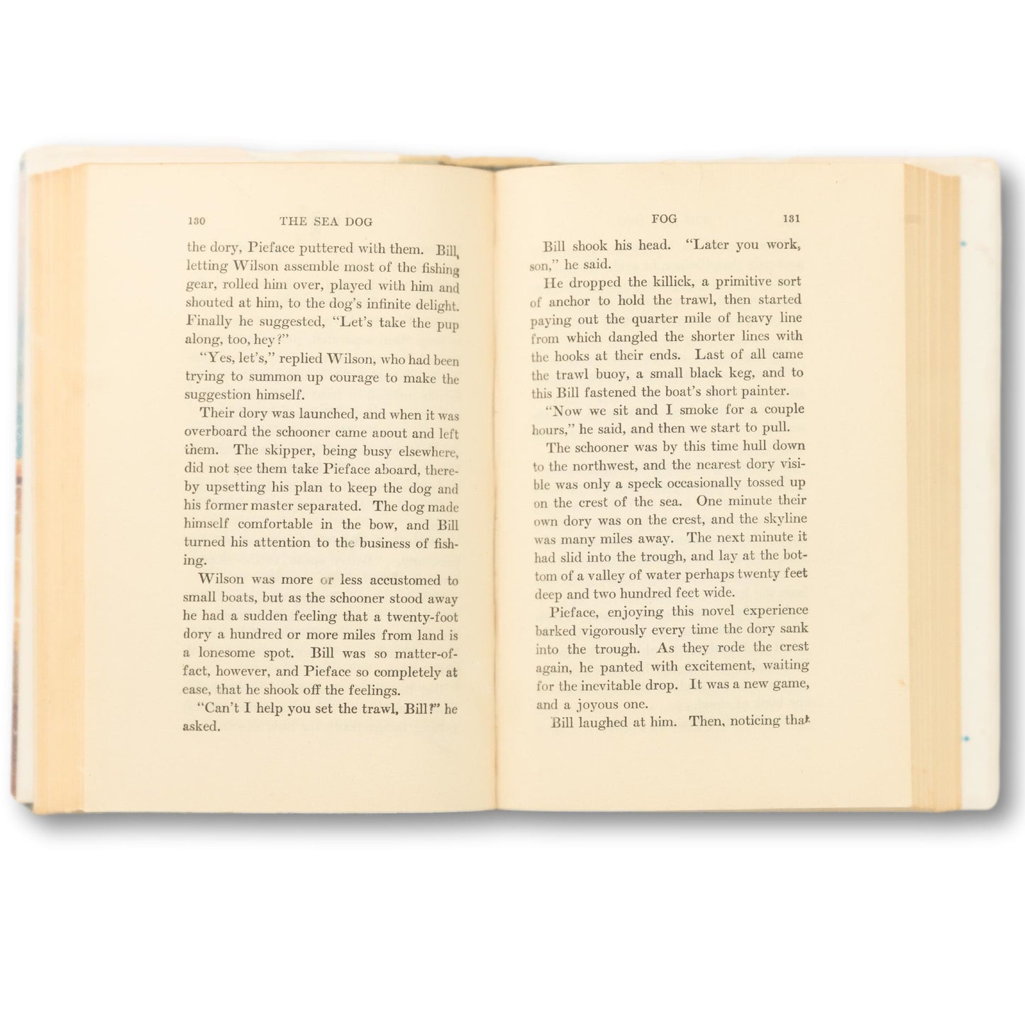 "The Sea Dog Storybook" Book