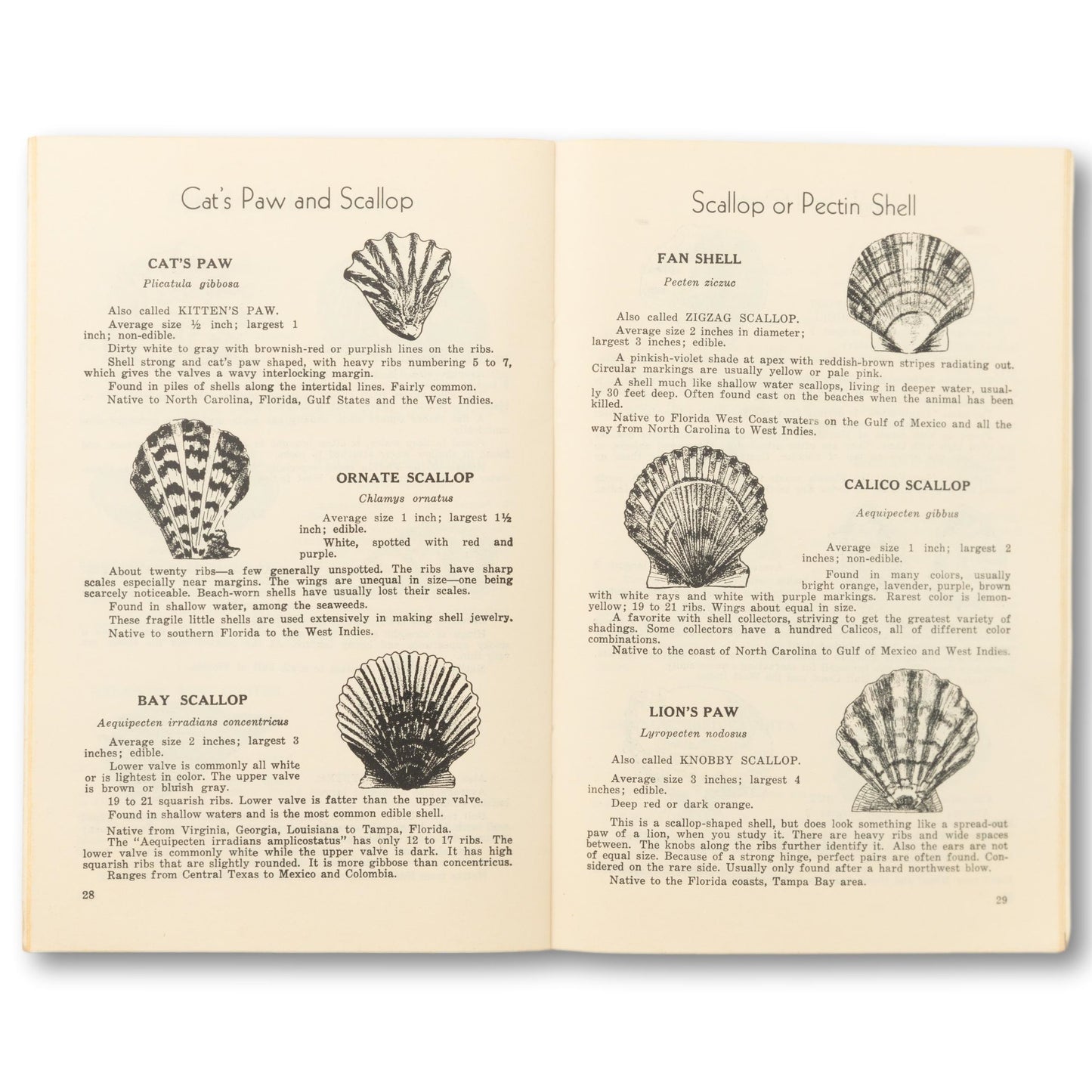 "Handbook Of Shells" Book