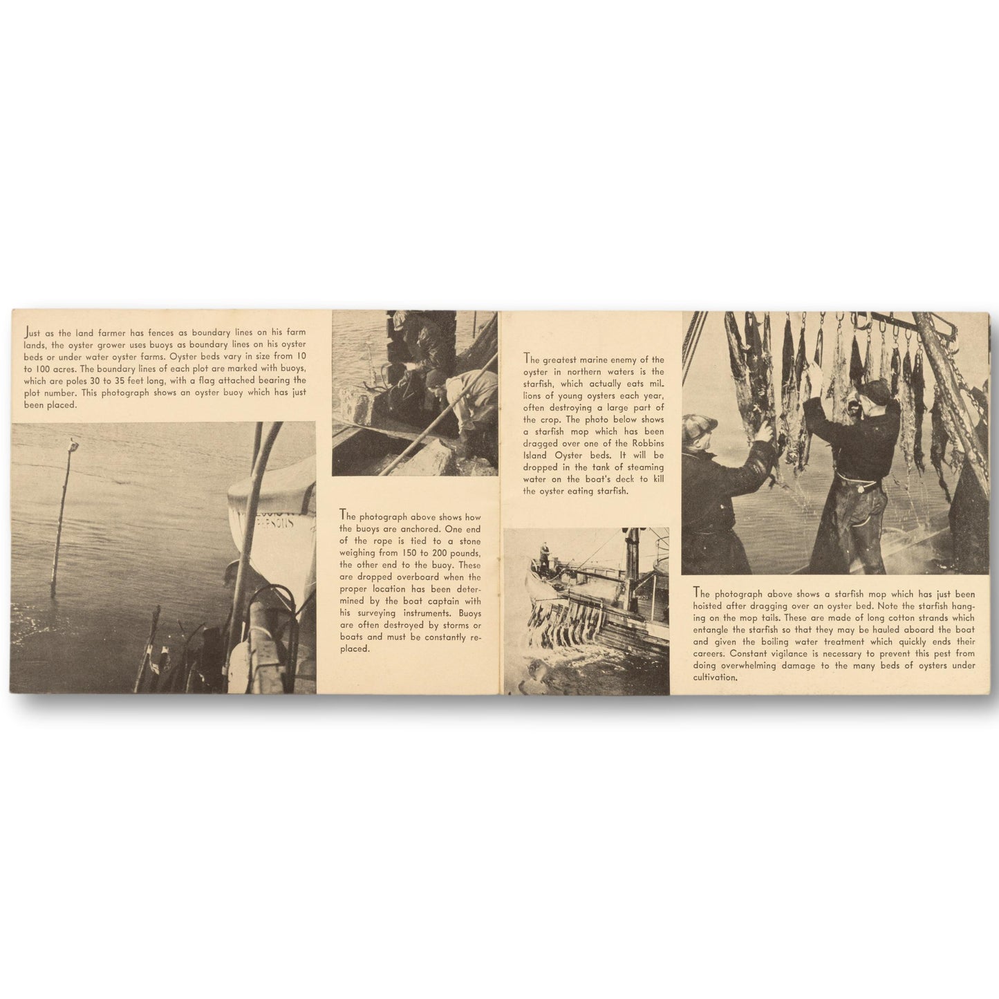 1935 Long Island Oyster Guide