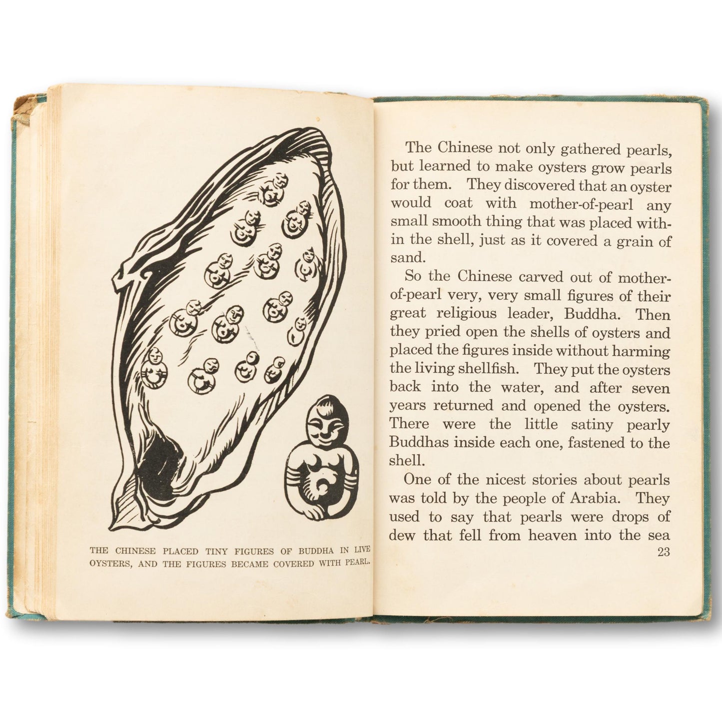 "Oysters" Illustrated Book