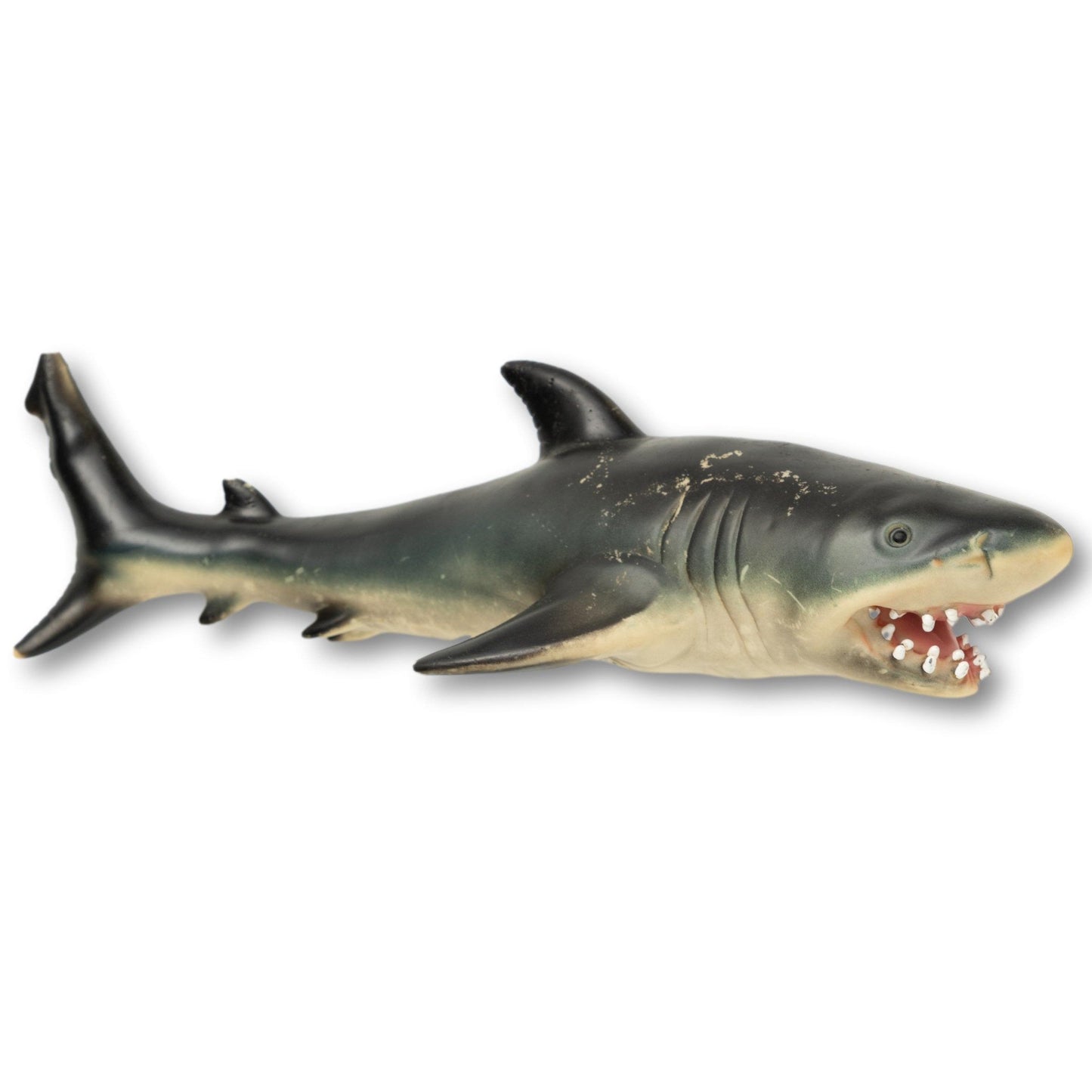 Souvenir Shark