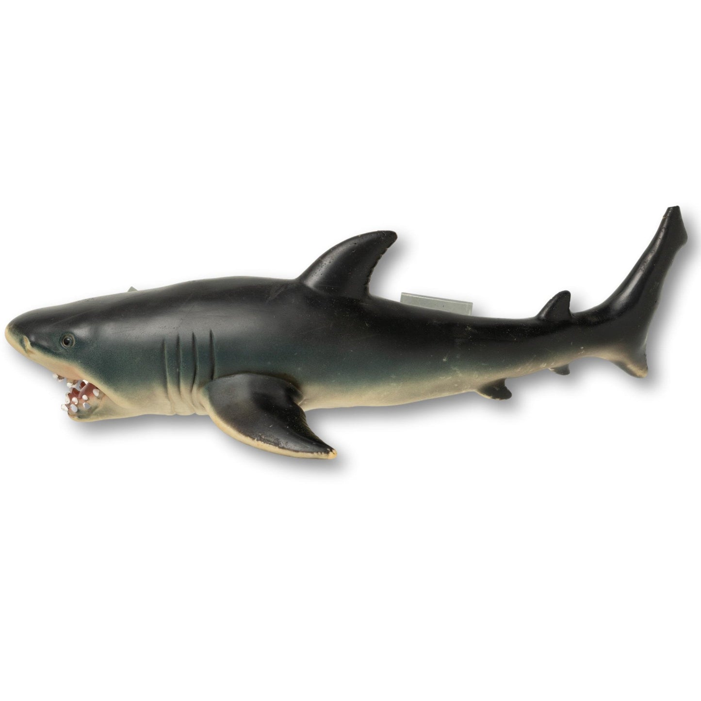 Souvenir Shark