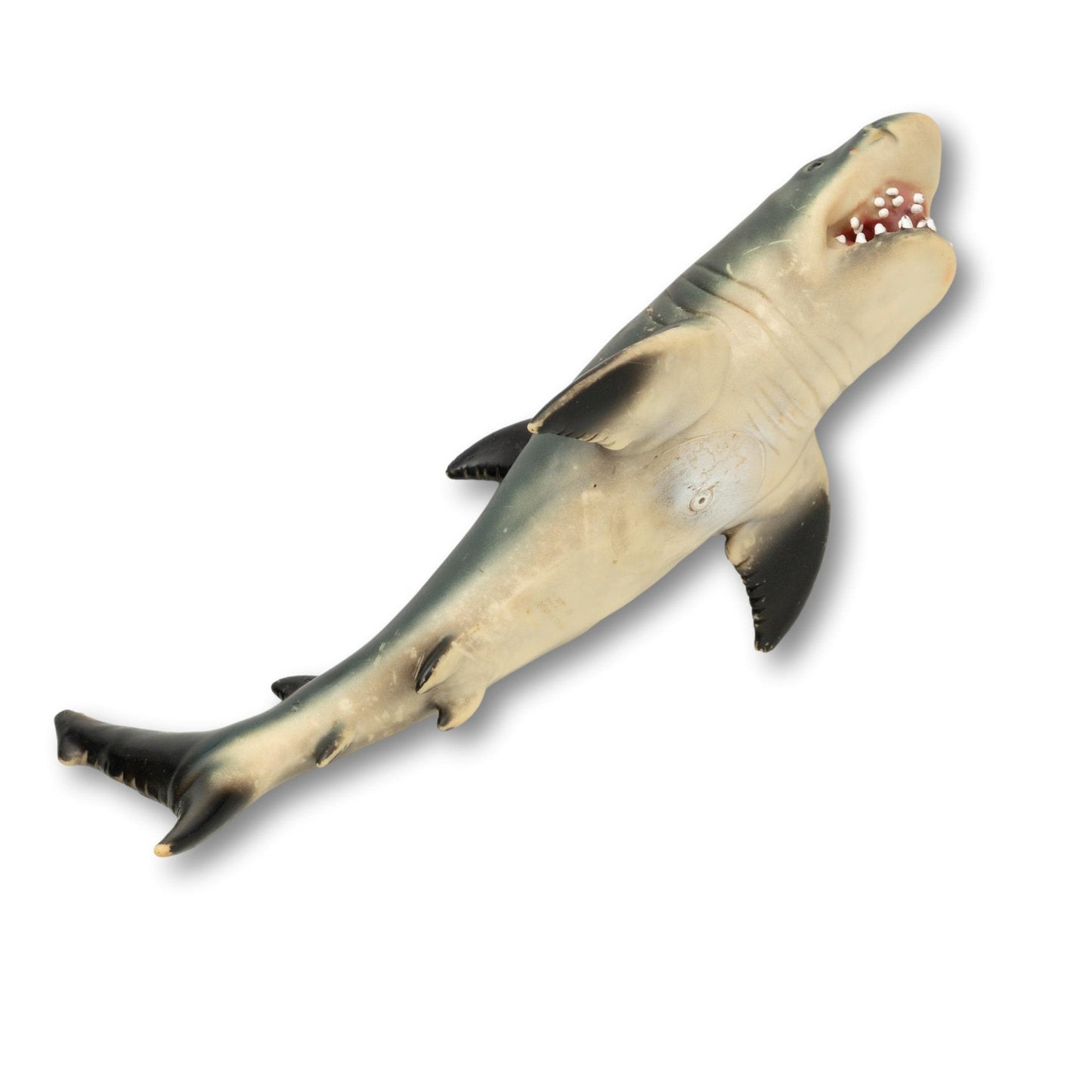 Souvenir Shark