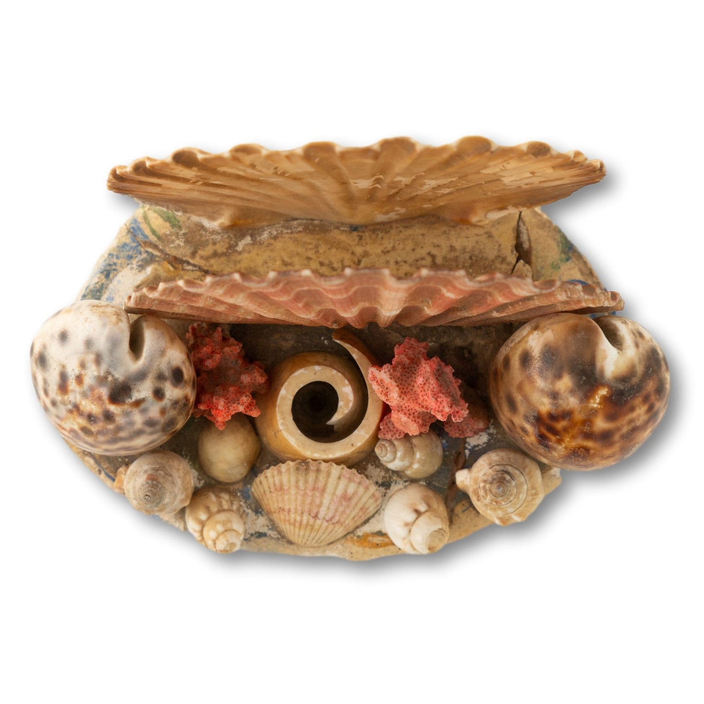 Shell Napkin or Letter Holder
