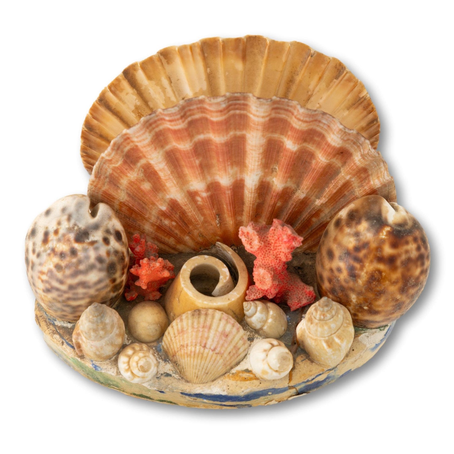 Shell Napkin or Letter Holder