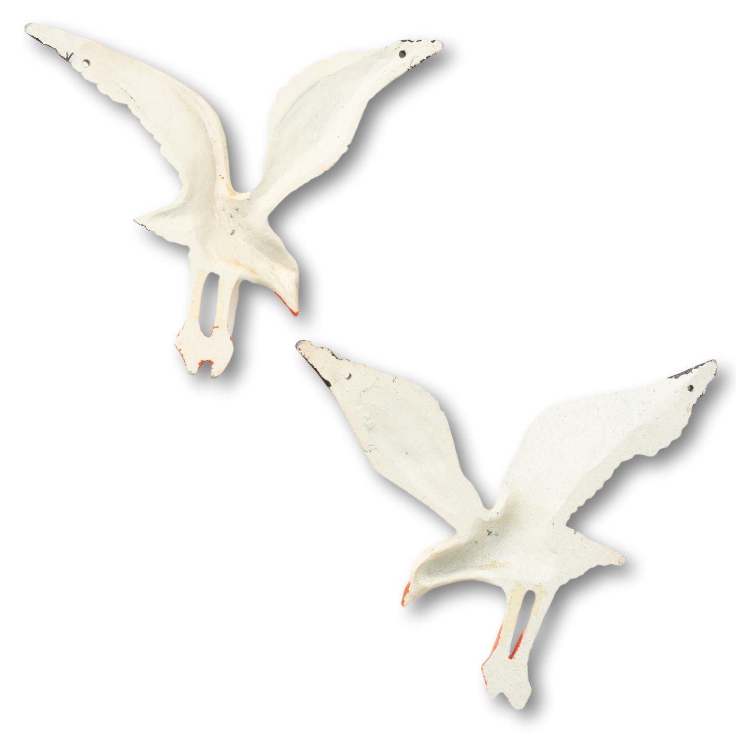 Pair of Seagulls