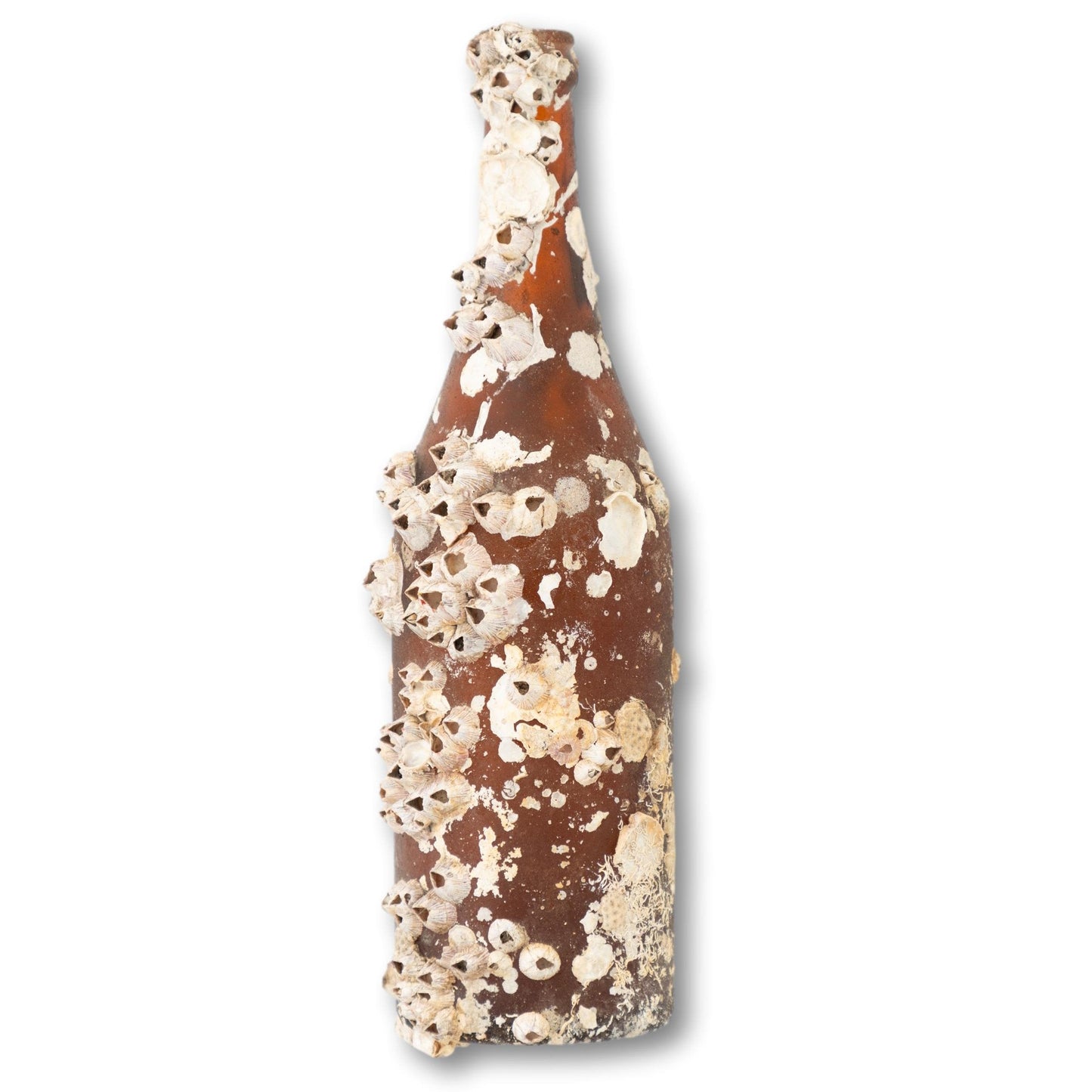 Barnacle Bottle