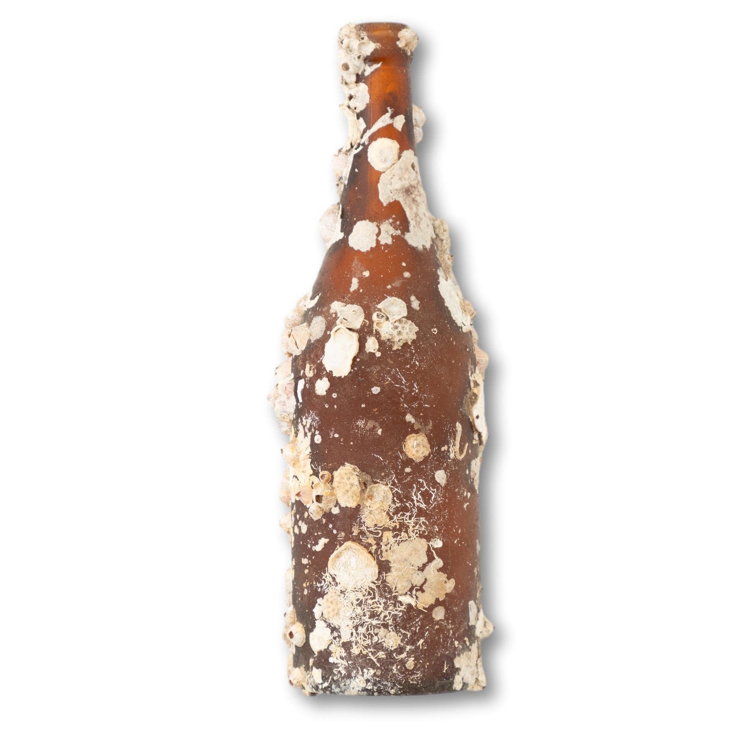 Barnacle Bottle