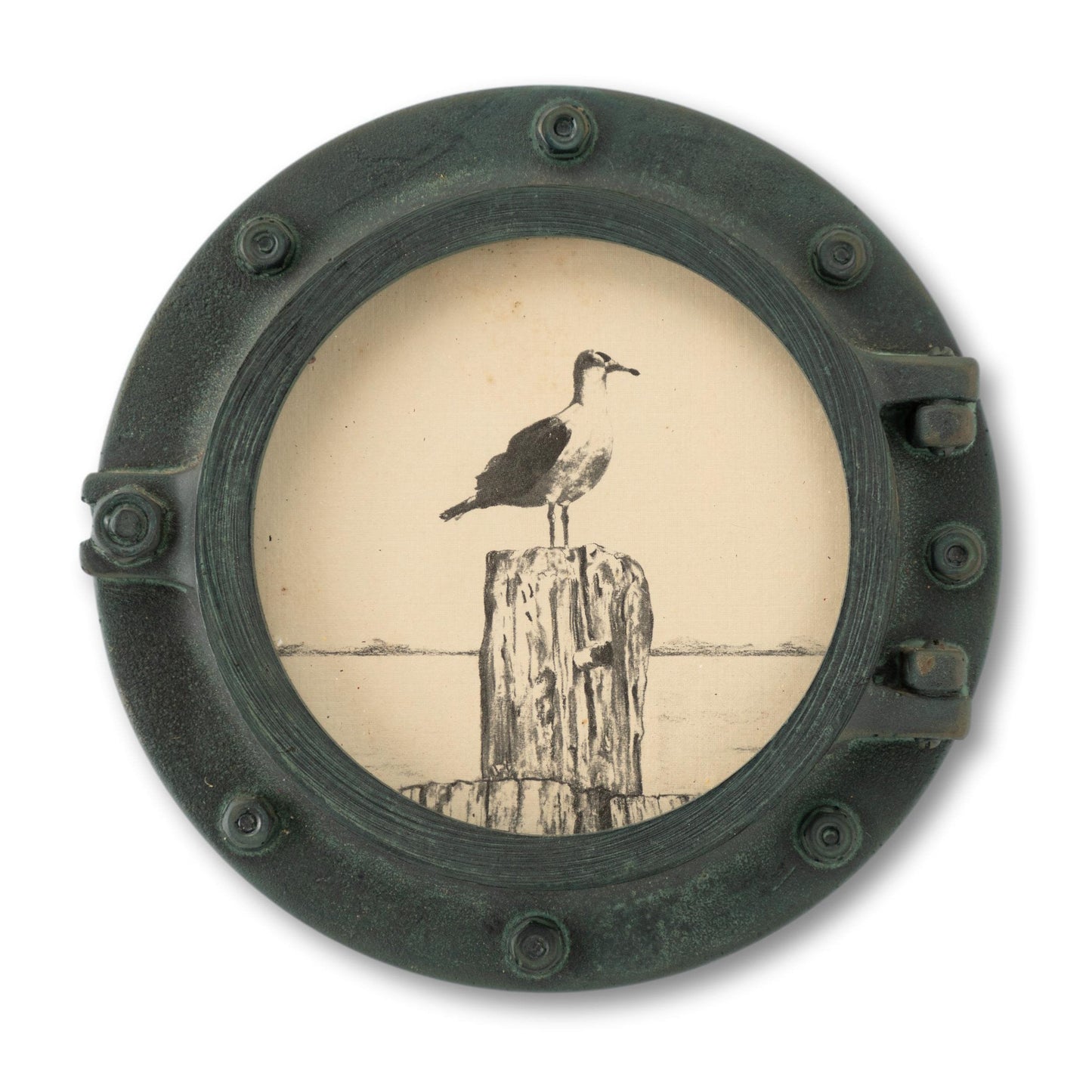 Small Seagull in Porthole