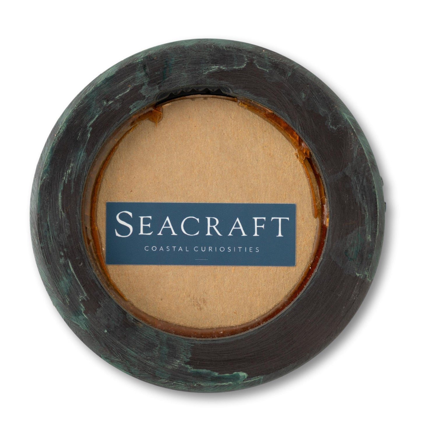 Small Seagull in Porthole