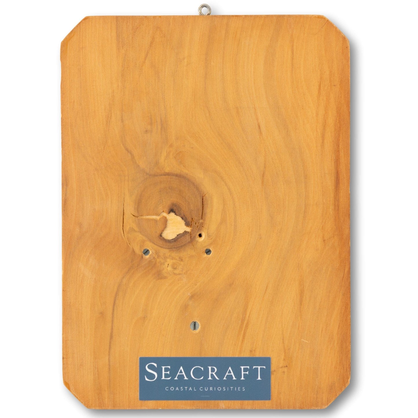 Sailboat Wall Art