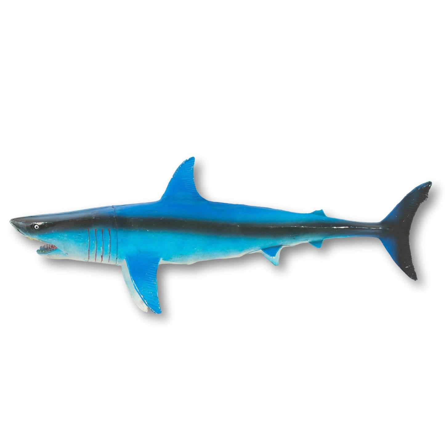Souvenir Shark