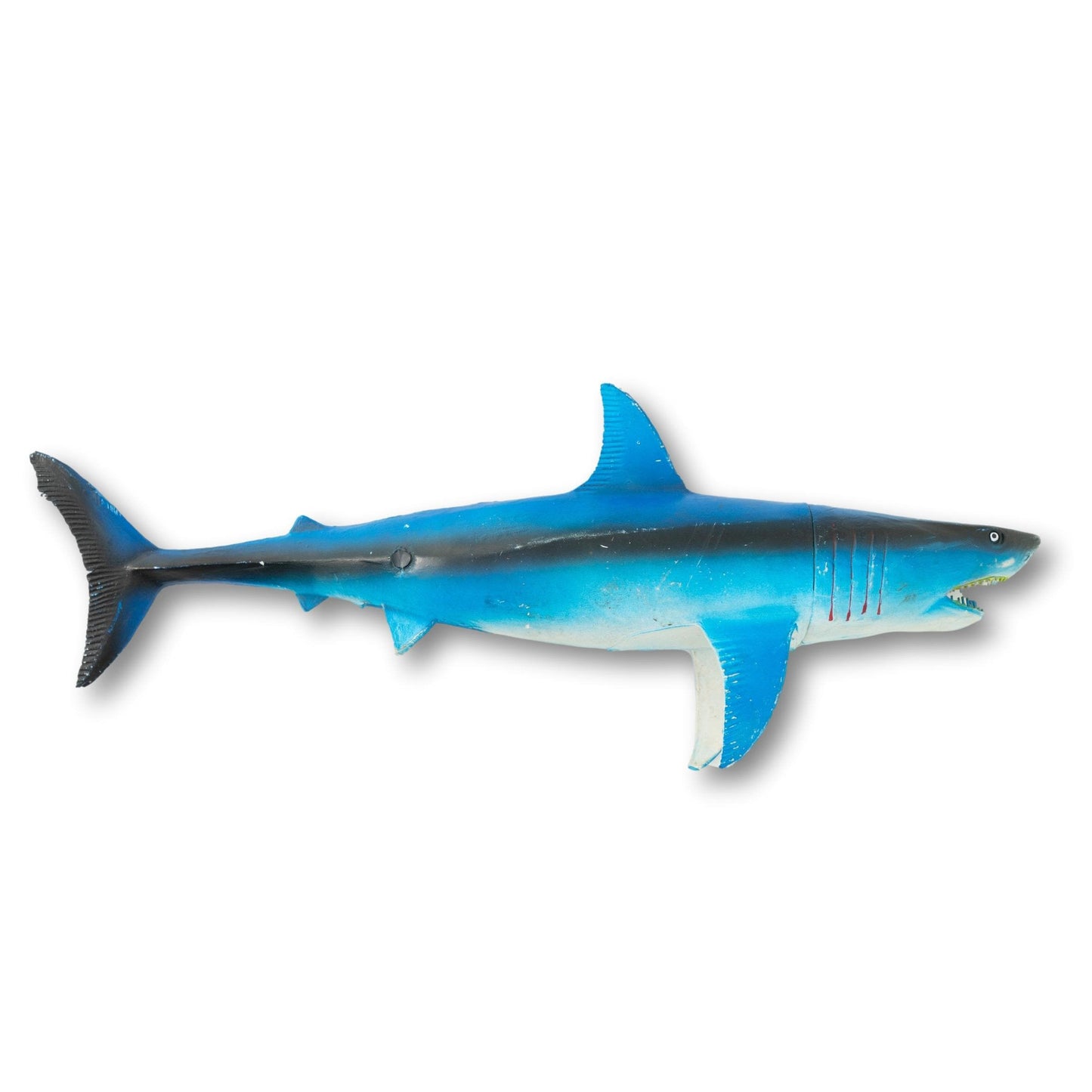 Souvenir Shark