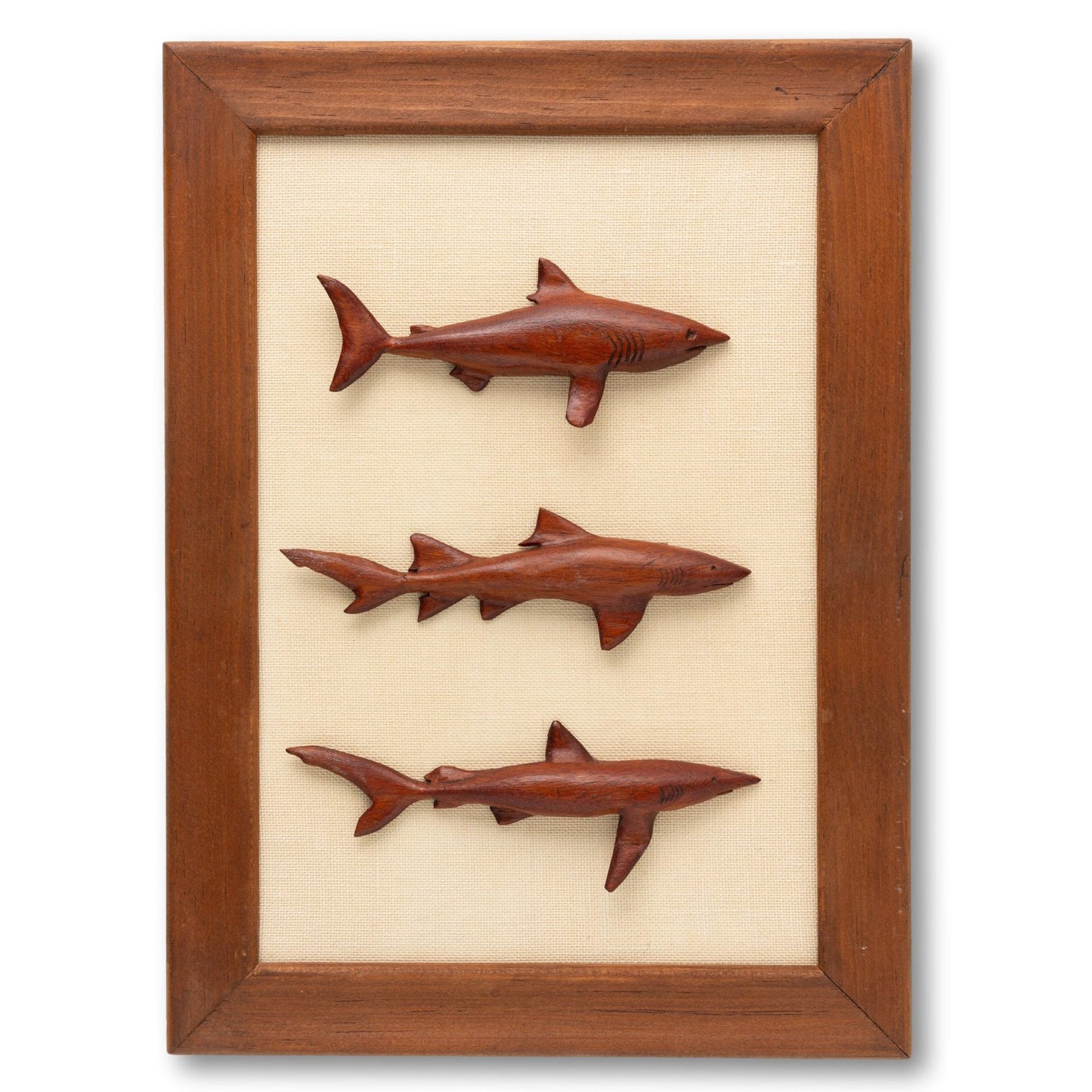 Mounted Shark Trio