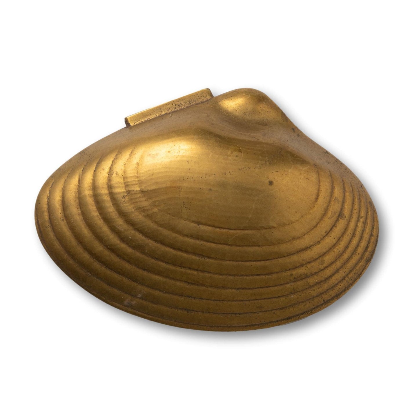 Brass Clam Box