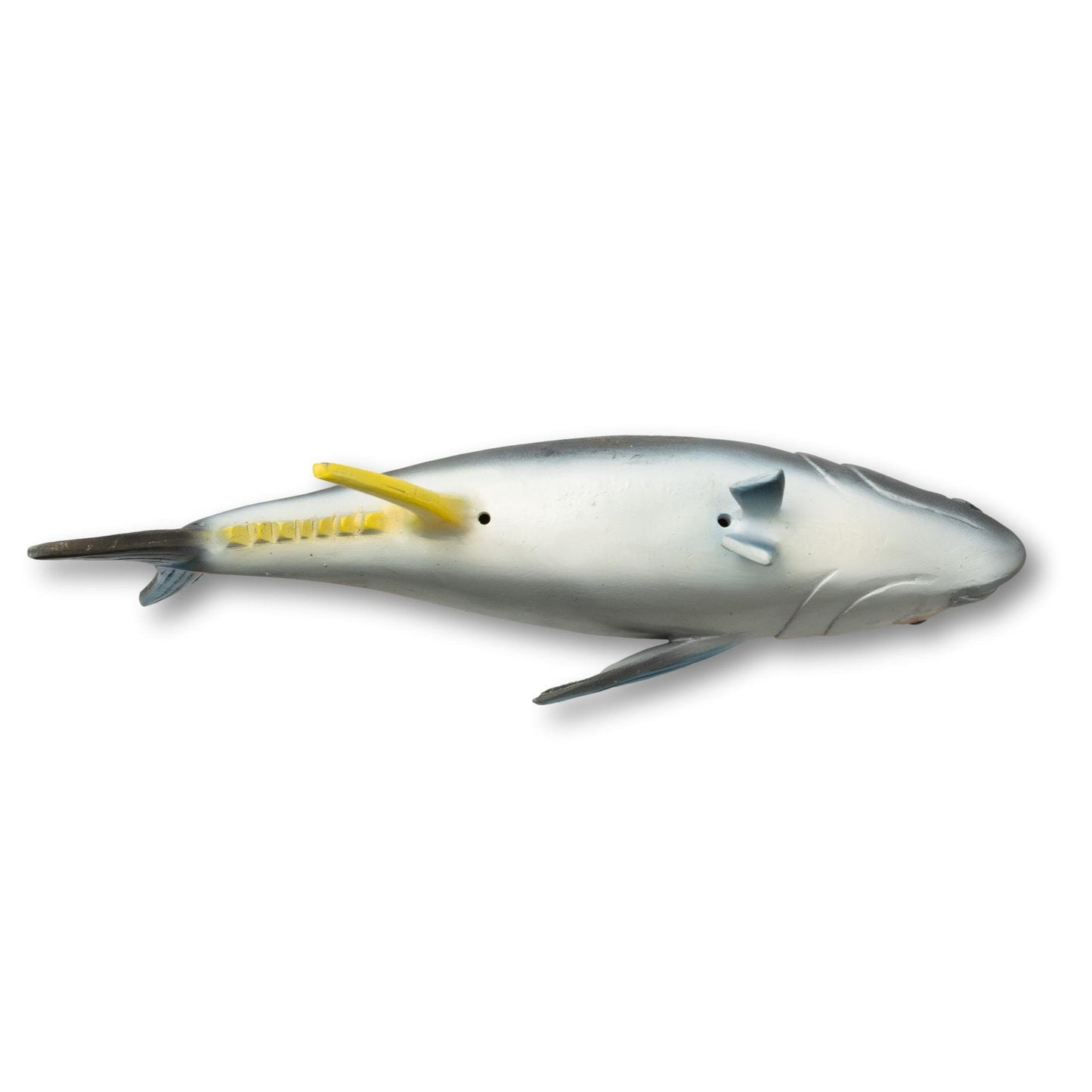 Small Tuna