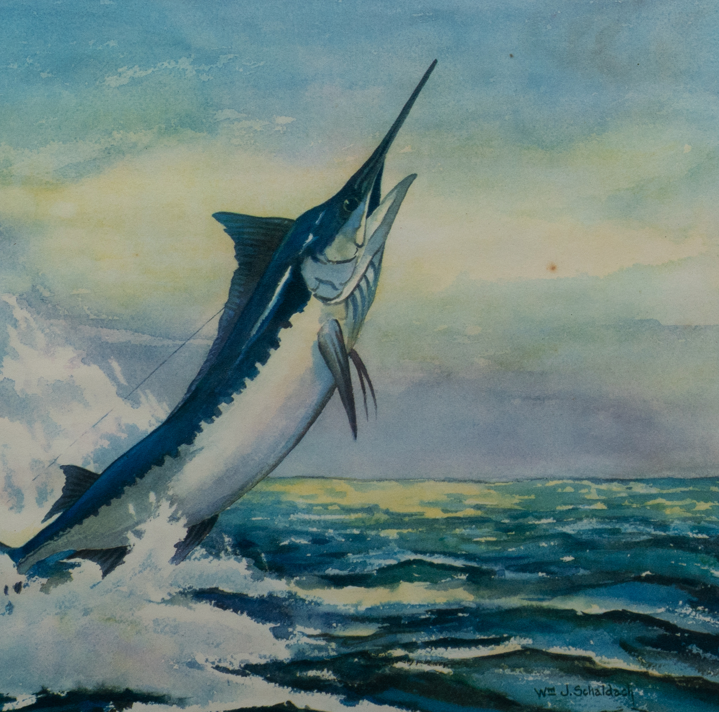 Marlin Watercolor