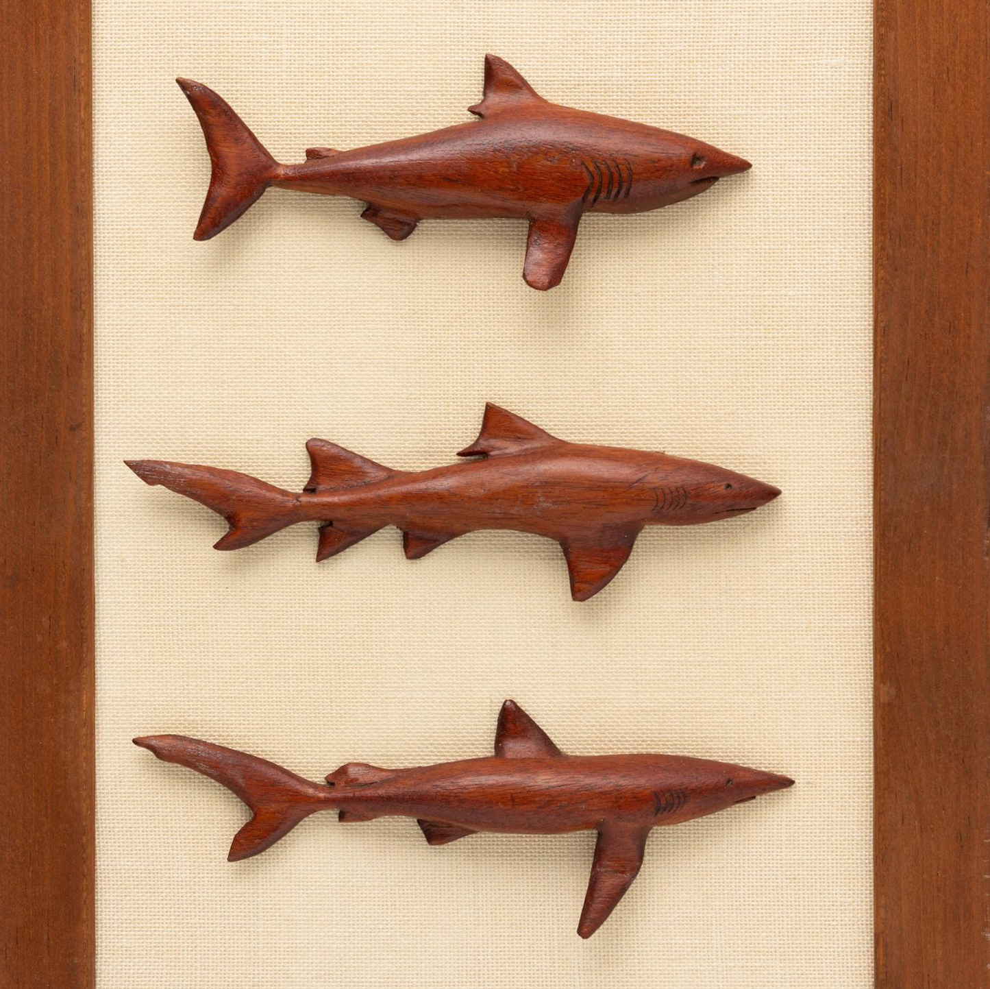 Mounted Shark Trio
