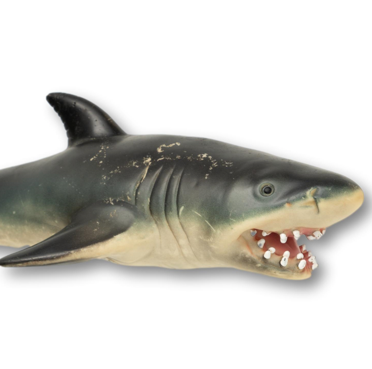 Souvenir Shark