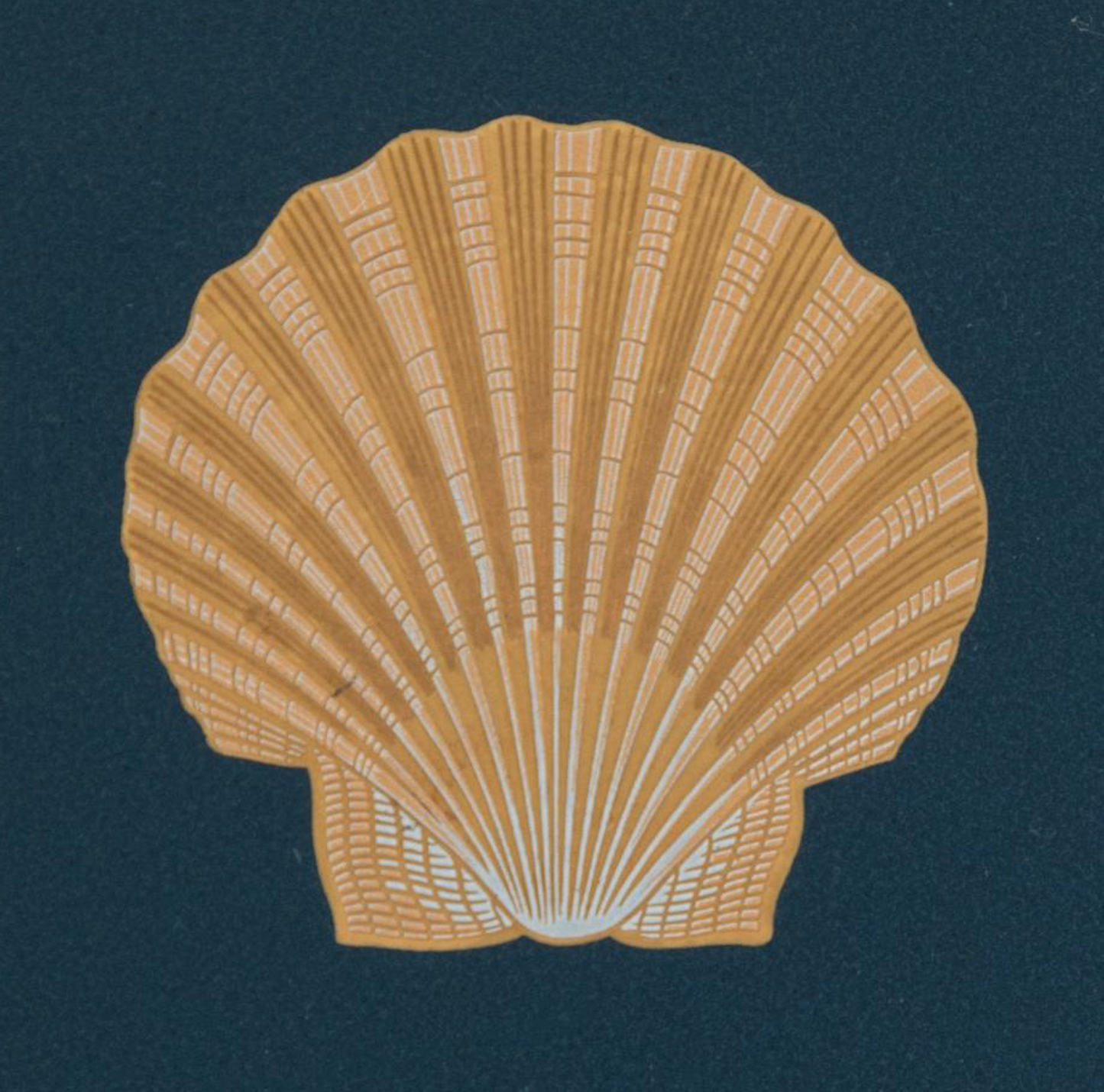 Shell Lacquerware Tray