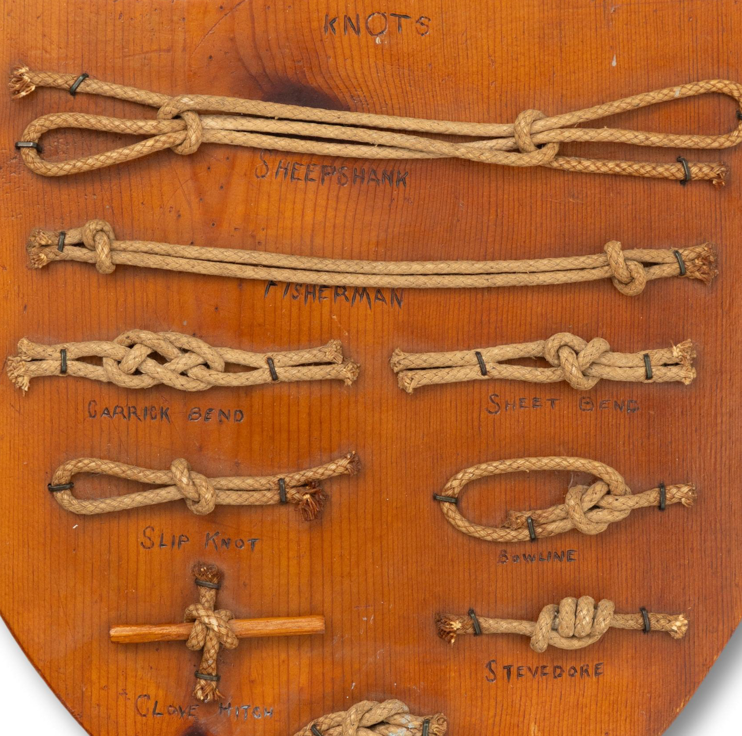 Shield-Backed Knot Board