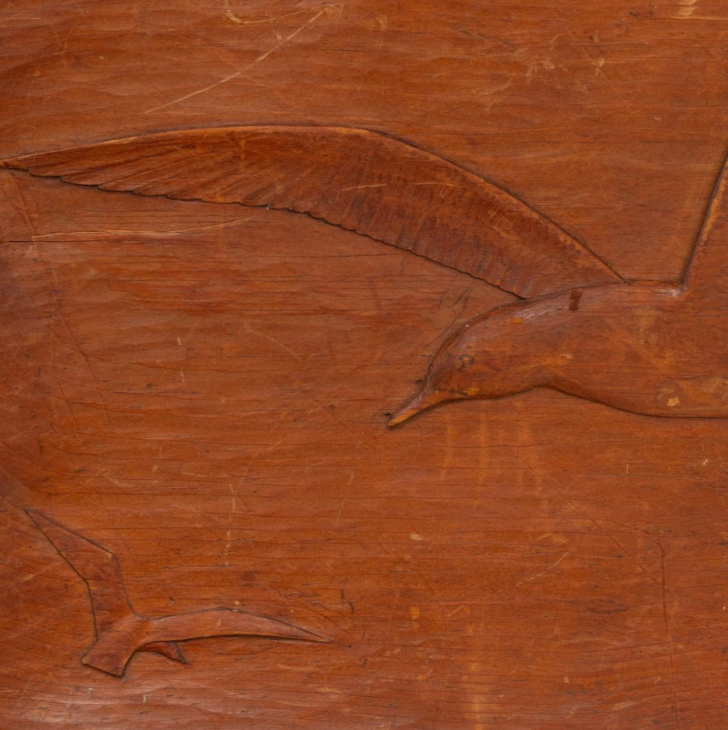 Hand Carved Seagull Wall Plaque