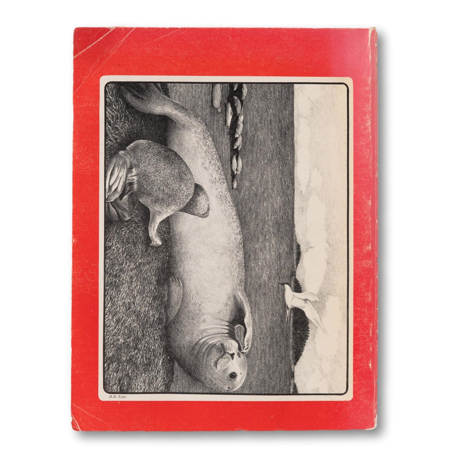 A Field Guide to the Whales & Seals of the Gulf of Maine