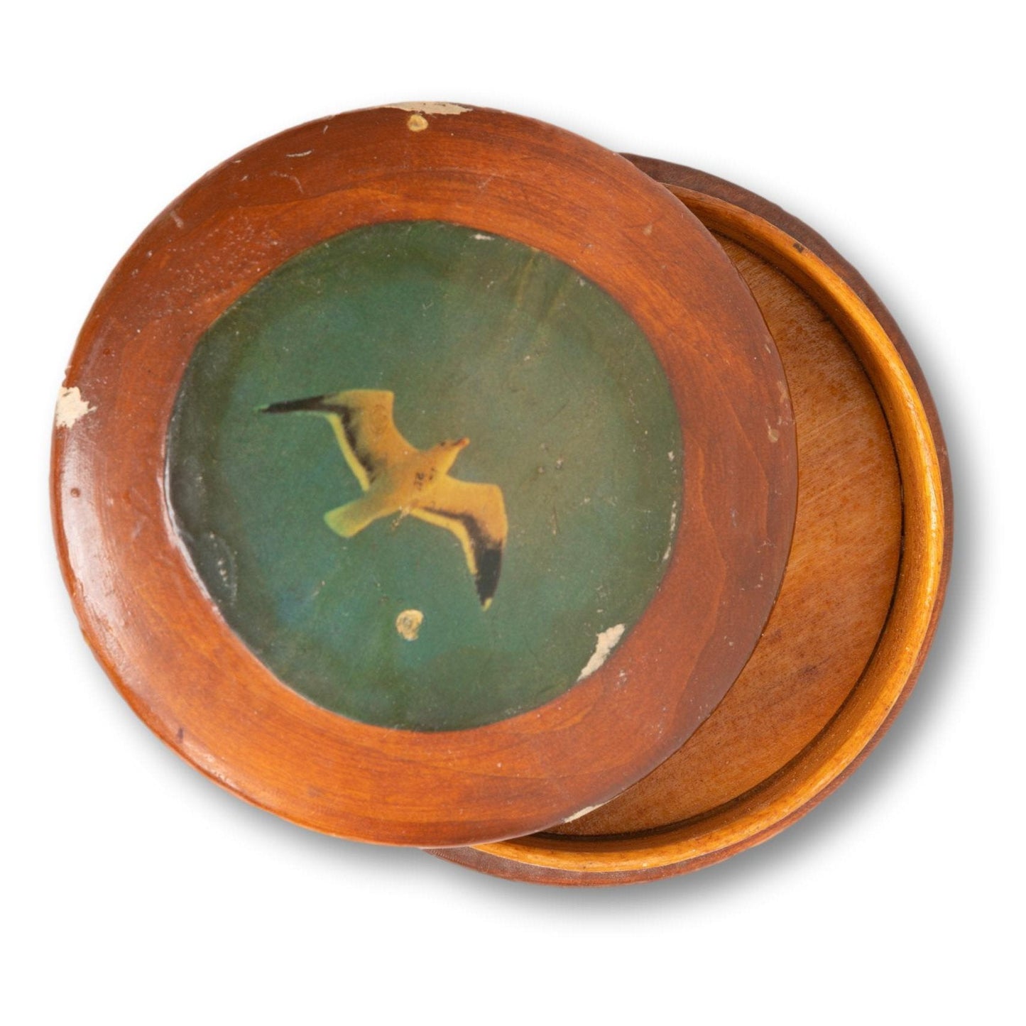 Small Seagull Stash Box