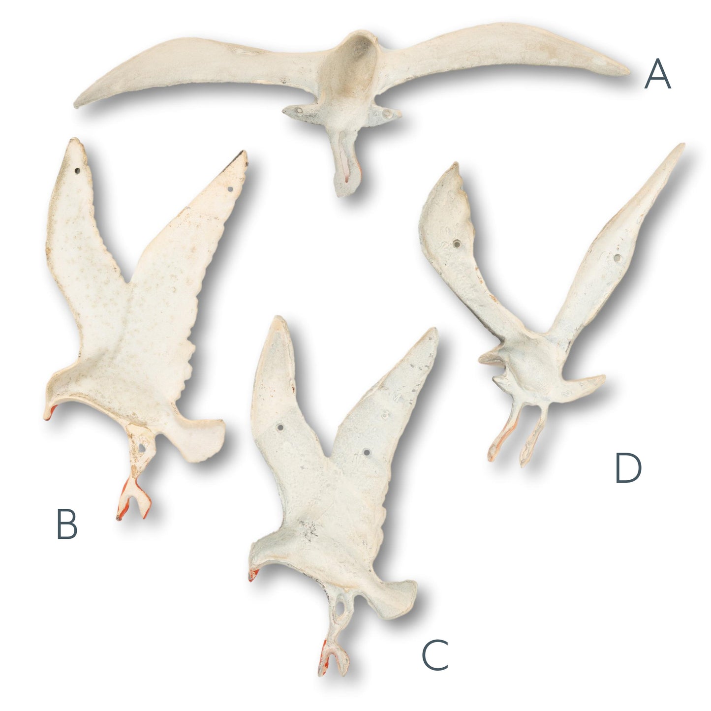 Seagull Wall Mount