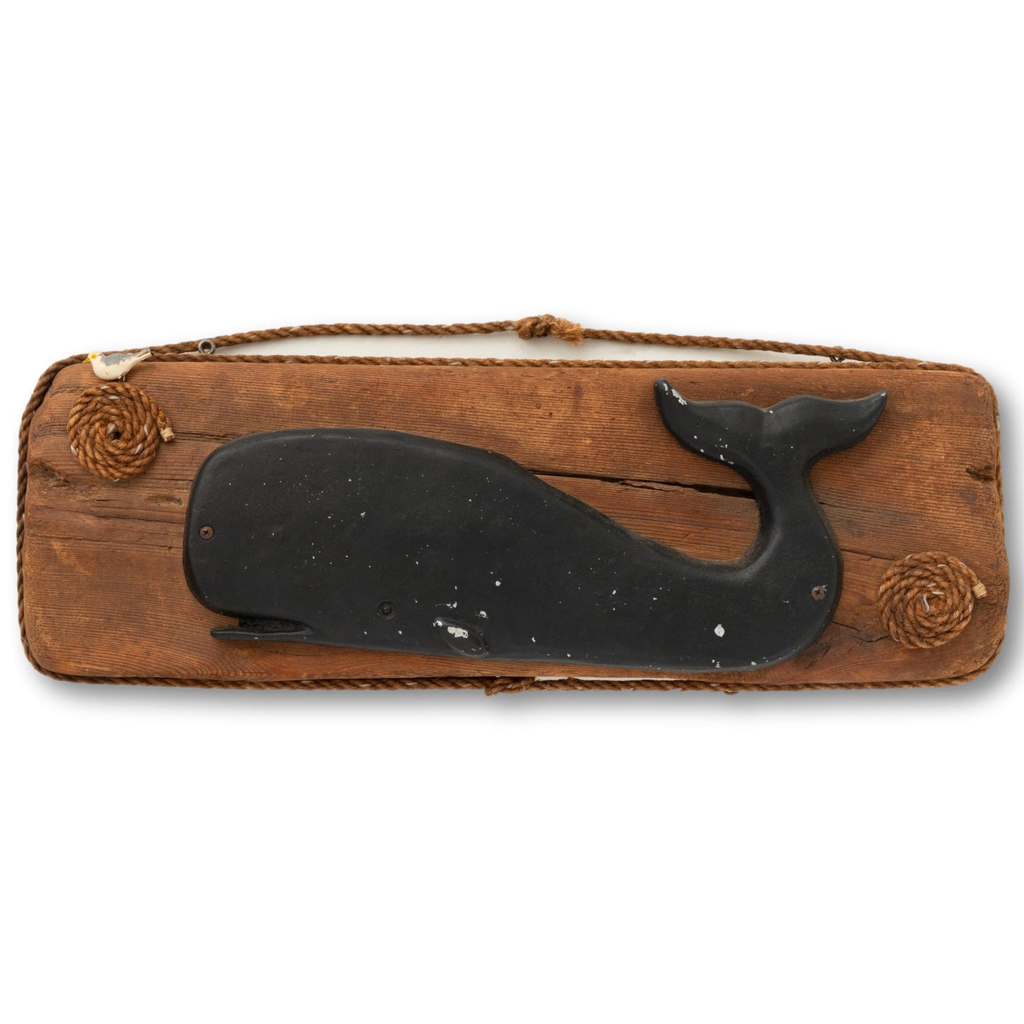 Metal Whale Mount on Timber