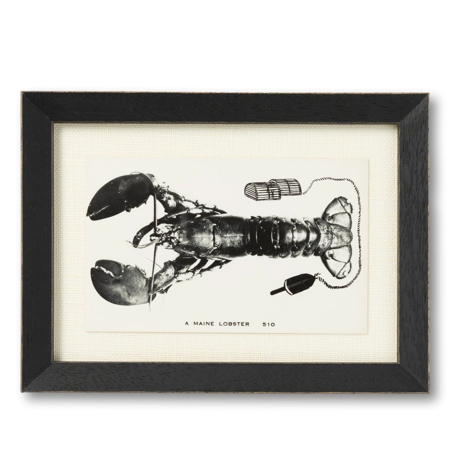 Framed Black Lobster Postcard