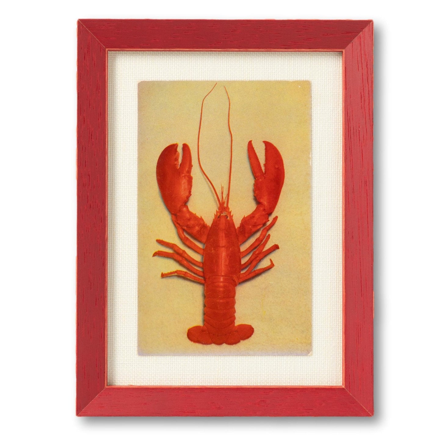 Framed Lobster Postcard