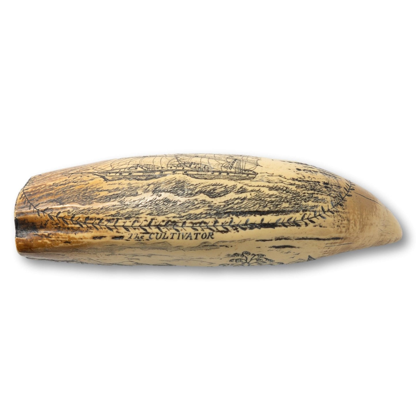 Whale Tooth Scrimshaw (Faux)
