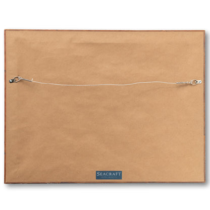 Framed Lobster Claw Flag