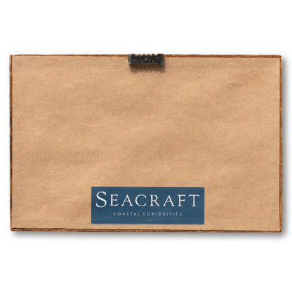 Small Framed Steamboat Graphic