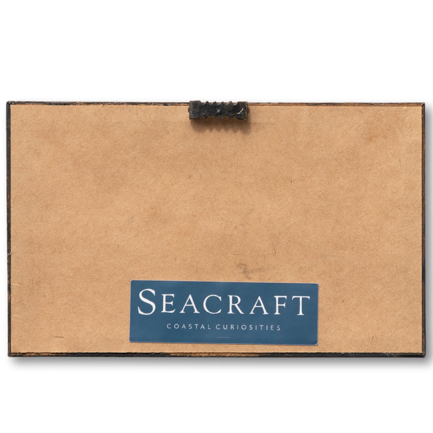 Framed Cabin Cruiser Graphic