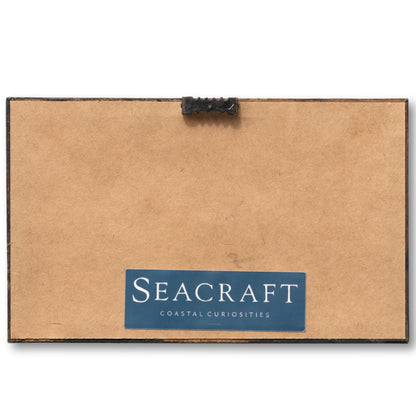 Framed Cabin Cruiser Graphic