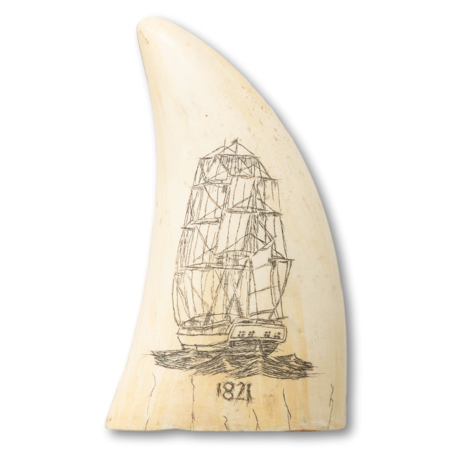Scrimshaw Resin Whale Tooth