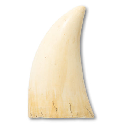 Scrimshaw Resin Whale Tooth