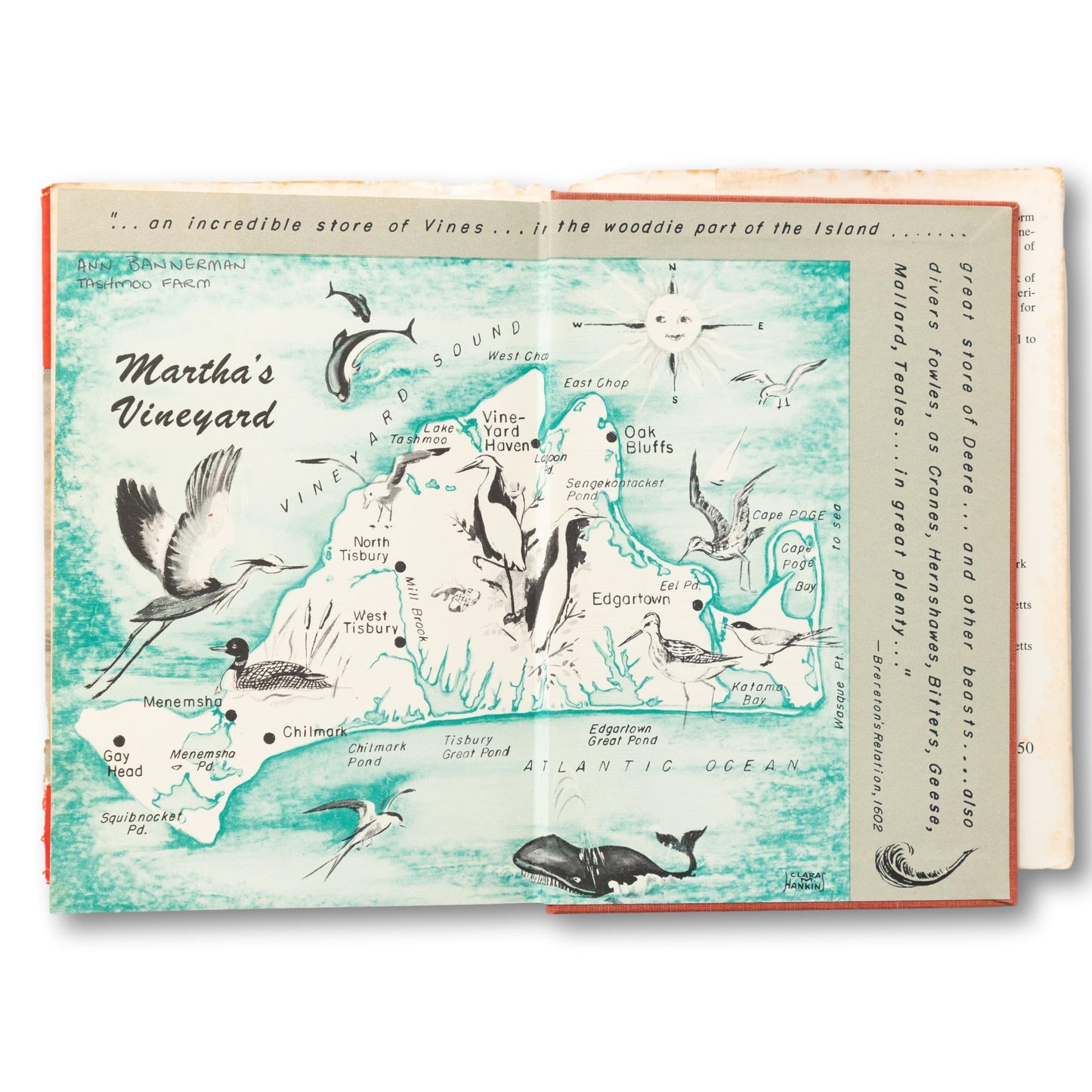 "Birds of Martha's Vineyard" Book