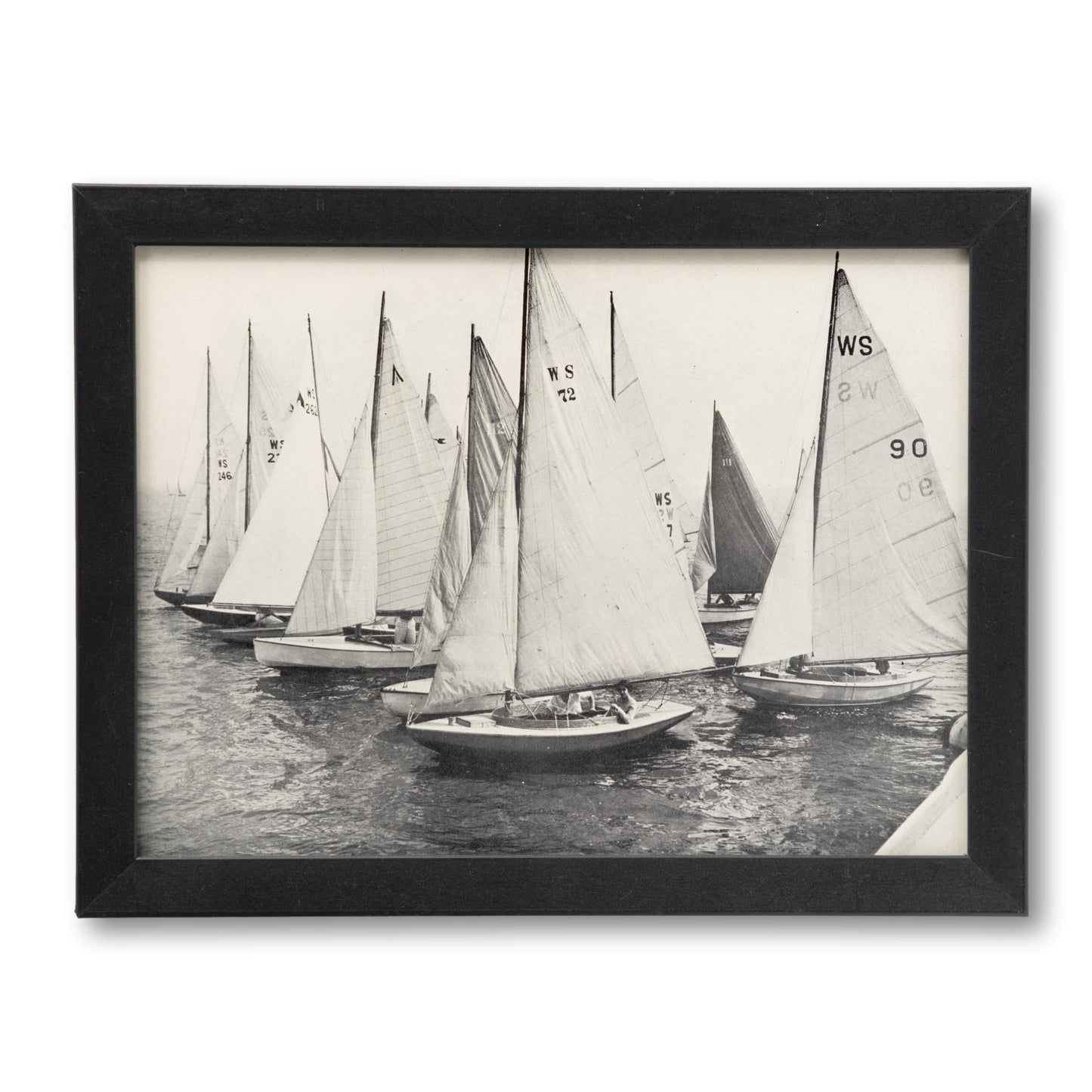 B&W Yacht Club Fleet