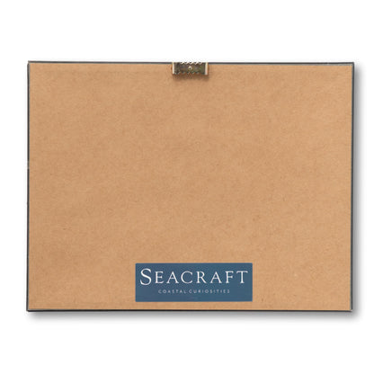 B&W Yacht Club Fleet