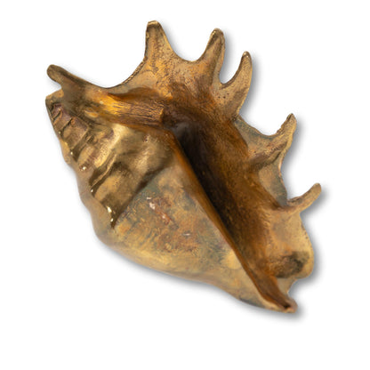 Brass Conch Shell