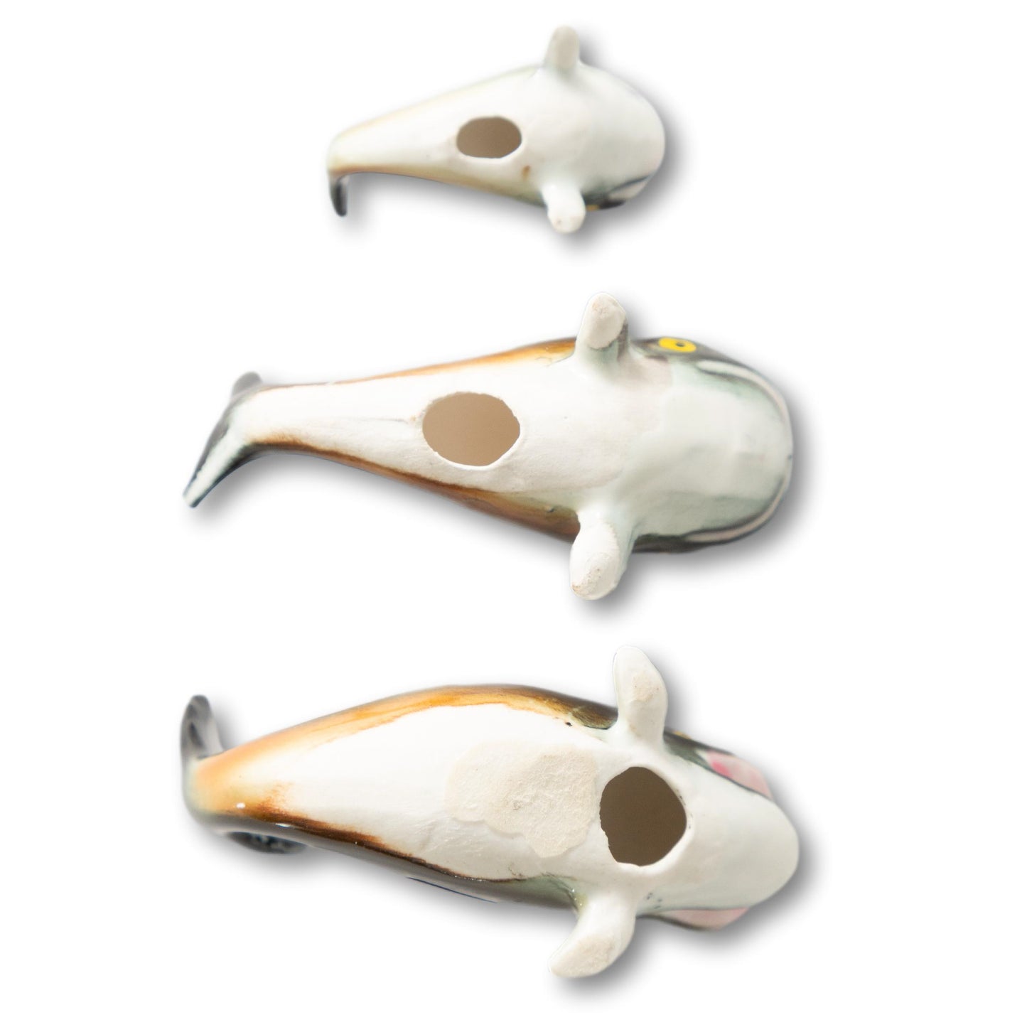 Pod of Mini Whales